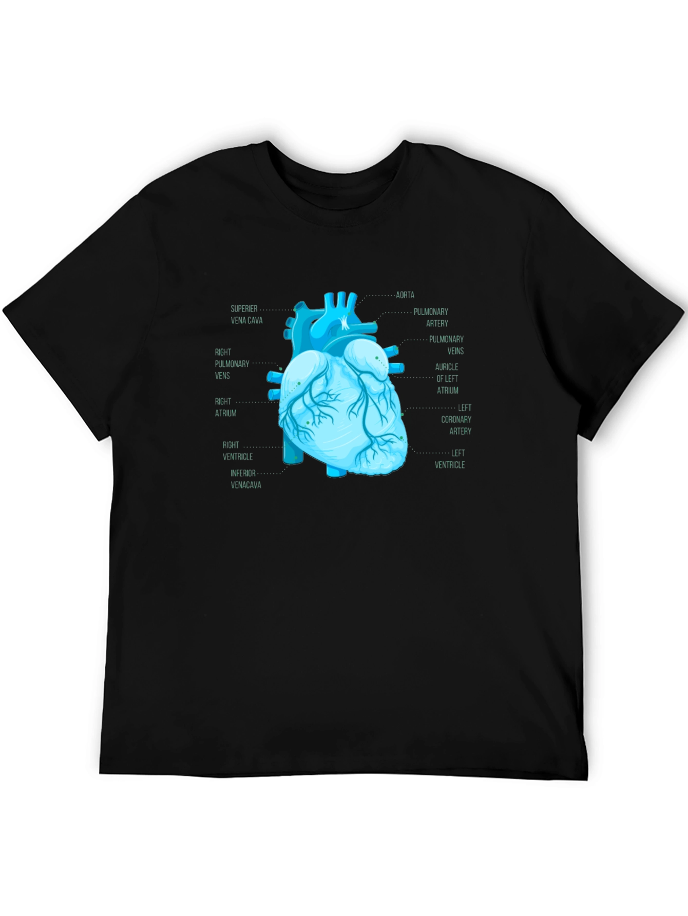 Anatomical Heart Print T-Shirt - Medical Science Tee